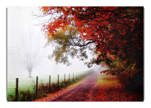 The Winter Path