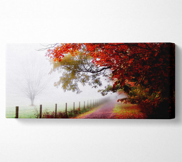 Der Winterweg