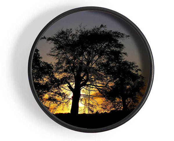Morning Sun Trees Clock - Wallart-Direct UK