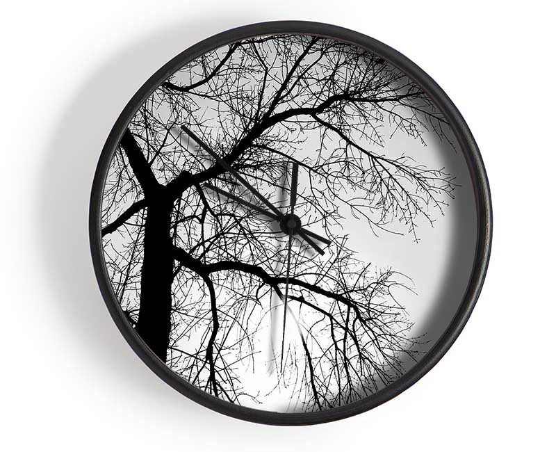 Winter Branches In The Sun B n W Clock - Wallart-Direct UK
