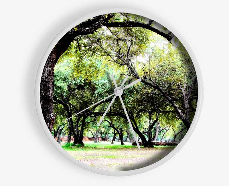 Ancient Woodland Trees Clock - Wallart-Direct UK