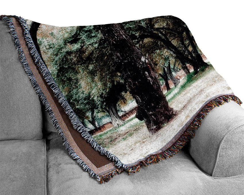 Ancient Woodland Trees Woven Blanket
