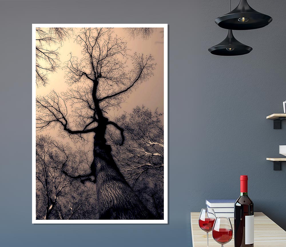 The Bare Winter Tree Print Poster Wall Art