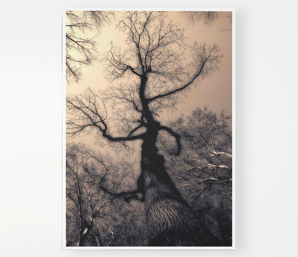 The Bare Winter Tree Print Poster Wall Art