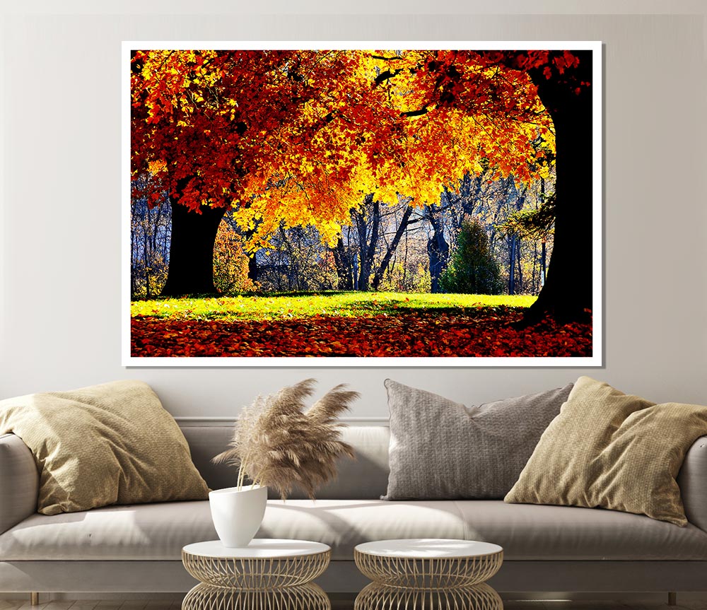 The Golden Autumn Tree Print Poster Wall Art