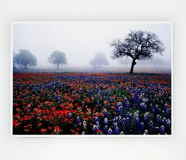 Field Of Flowers In The Morning Mist Print Poster Wall Art