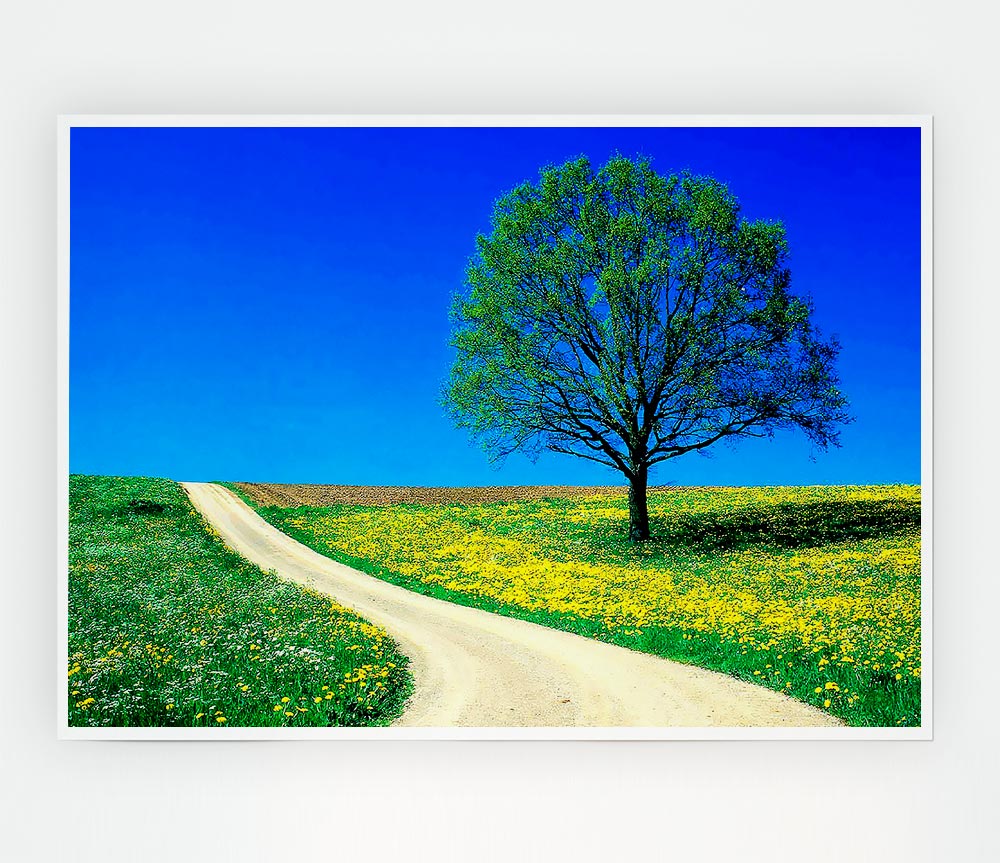 The Lonely Tree Road Print Poster Wall Art