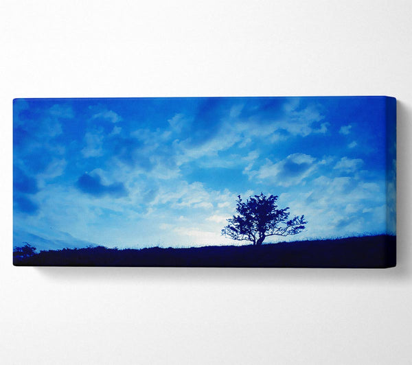 Morgenbaum