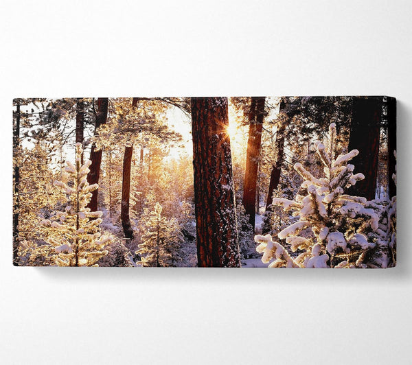 Winterwald