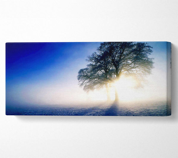 Nebligen Baum bei Sonnenaufgang