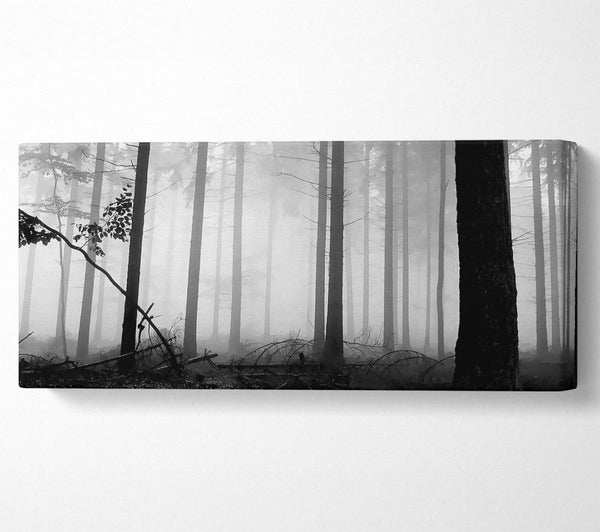 Schwarz-Weiß-Waldnebel