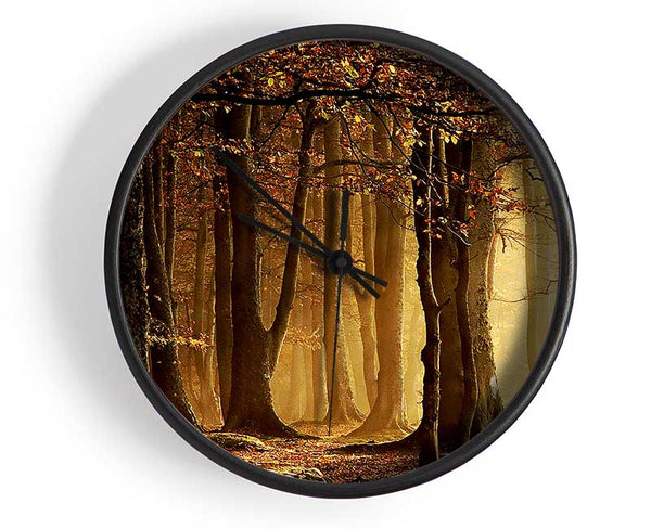 Land Of Trees Clock - Wallart-Direct UK