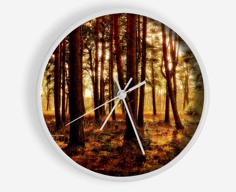 Woodlands Morning Shadows Clock - Wallart-Direct UK