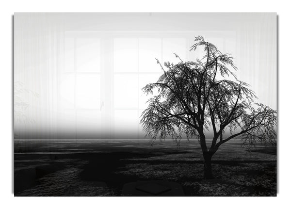 The Way The Wind Blows B~w