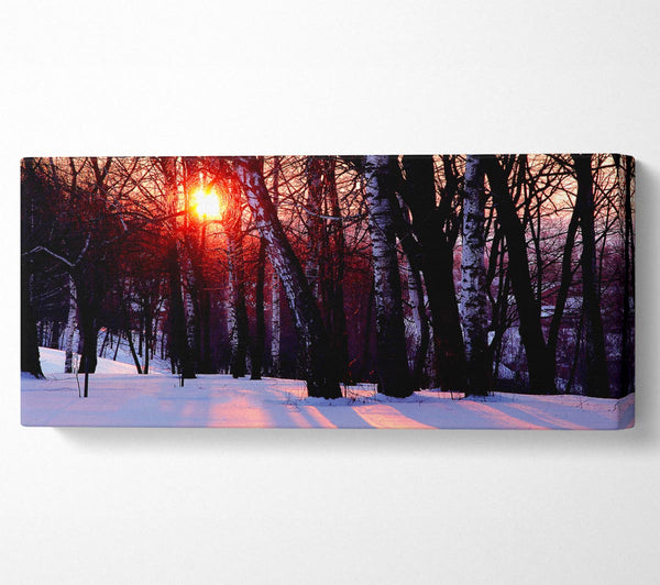 Winter Wald Sonne