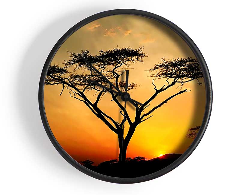 Arcania Tree Sunblaze Clock - Wallart-Direct UK