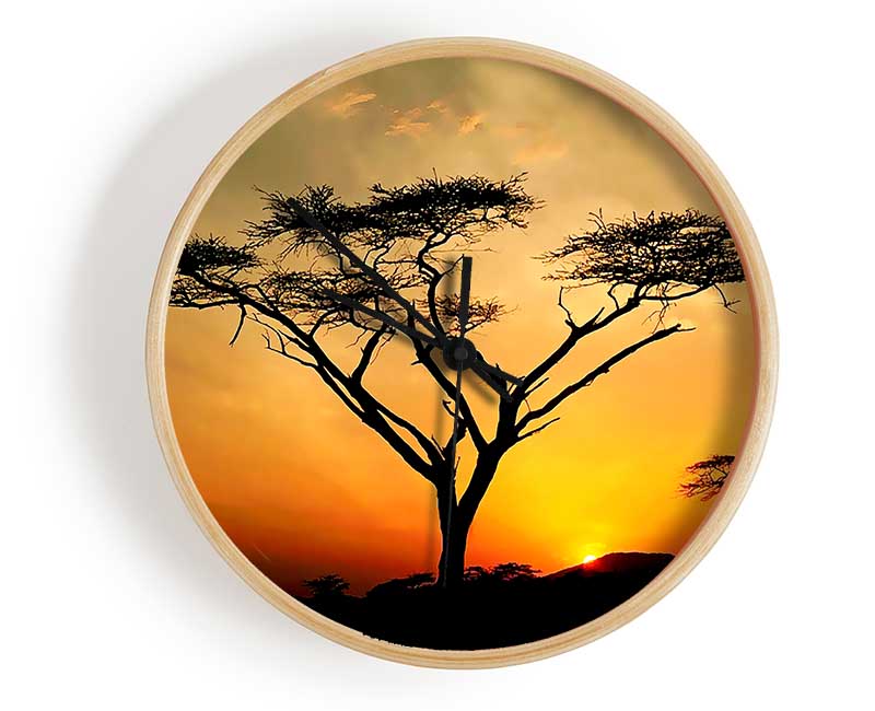 Arcania Tree Sunblaze Clock - Wallart-Direct UK