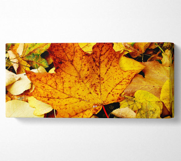 Herbstlaub auf dem Boden