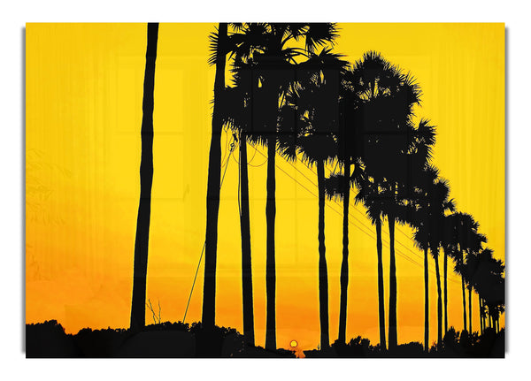 Sonnenuntergang Baum