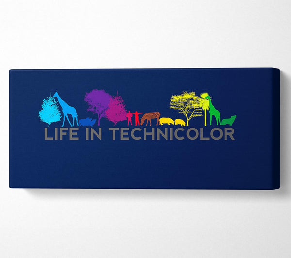 Life In Technicolor