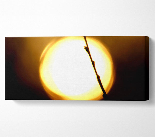 Licht