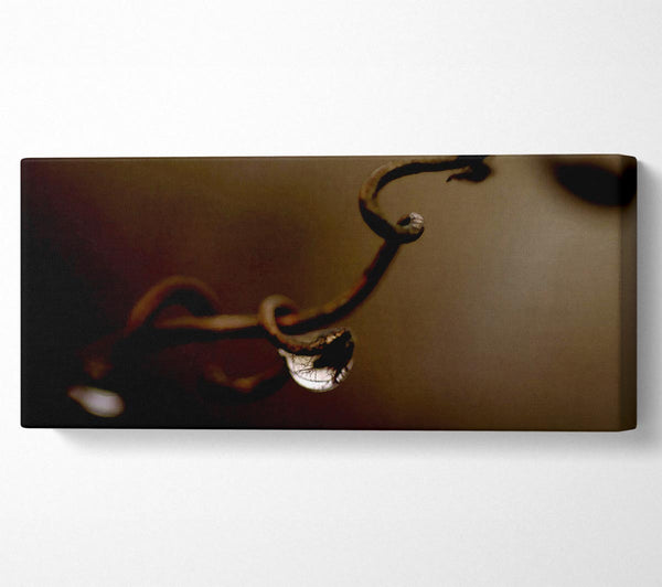 Drop Of Water Brown