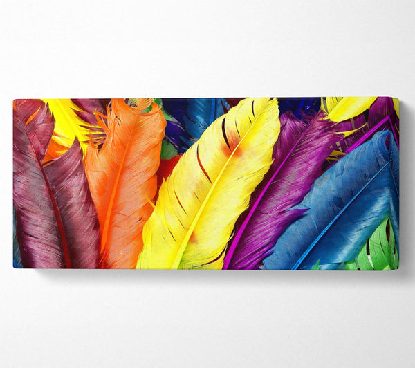Feathers In Colours