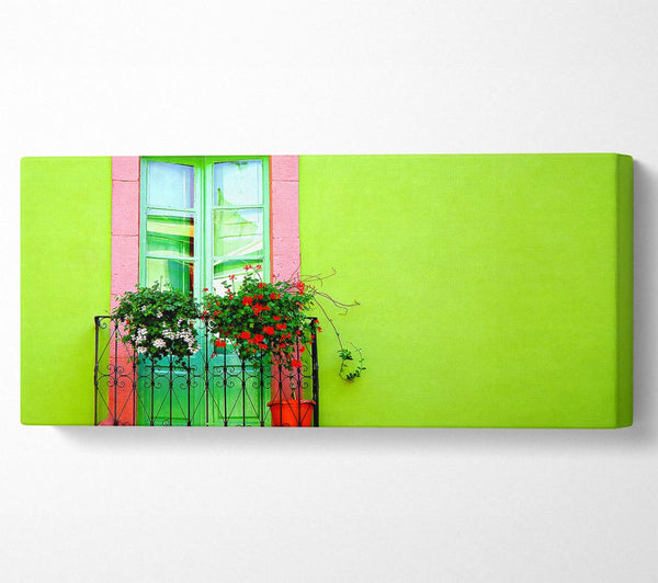 Green Wall Window