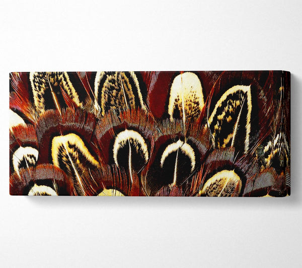 Feather Fan
