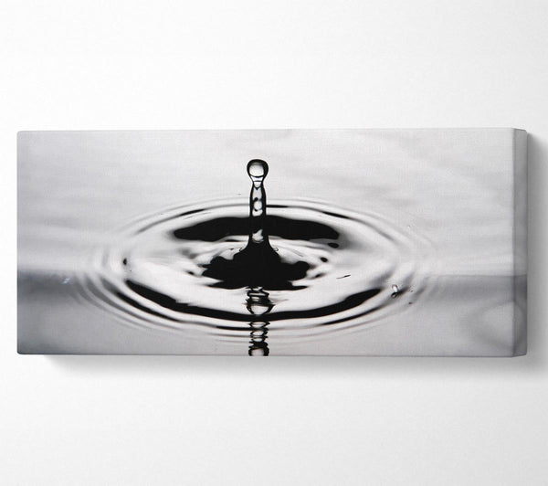 Grey Water Splash