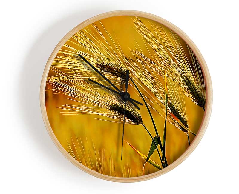 Wheat In The Golden Sunlight Clock - Wallart-Direct UK
