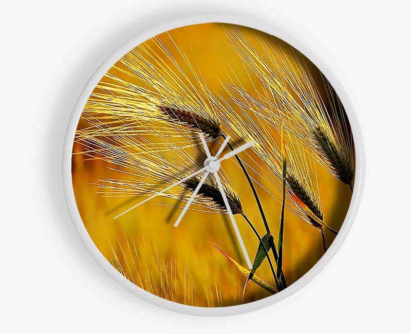 Wheat In The Golden Sunlight Clock - Wallart-Direct UK