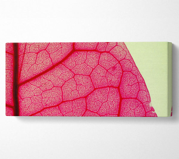 Pink Leave Beauty