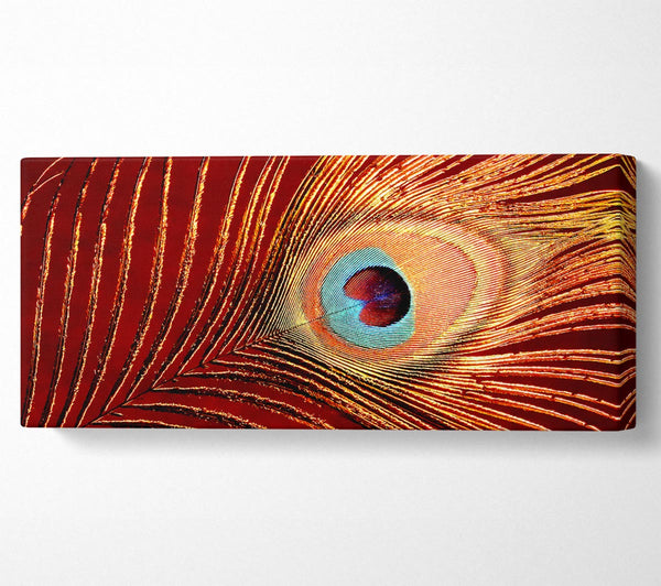 Peacock Feather 06