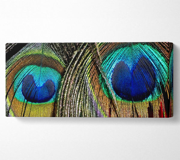 Peacock Feather Duo