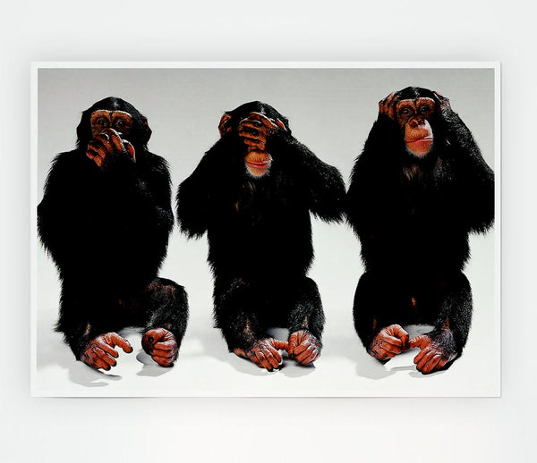 Three Wise Monkeys Print Poster Wall Art