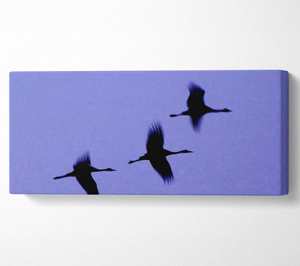 Geese Trio In Flight Purple