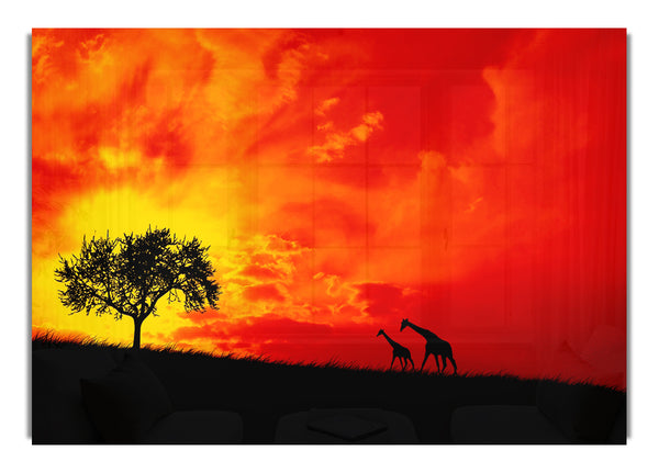 Safari Sonnenuntergang 1