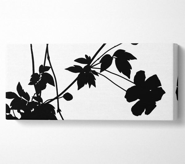 Schwarze Blumen