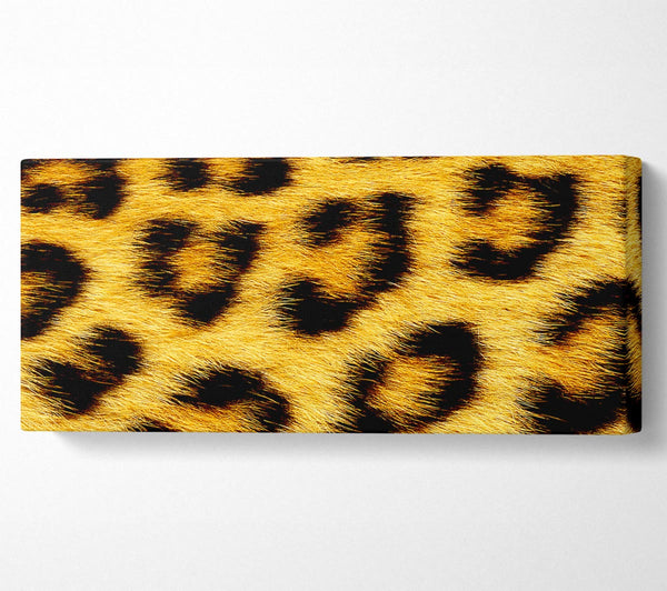 Leopard Print