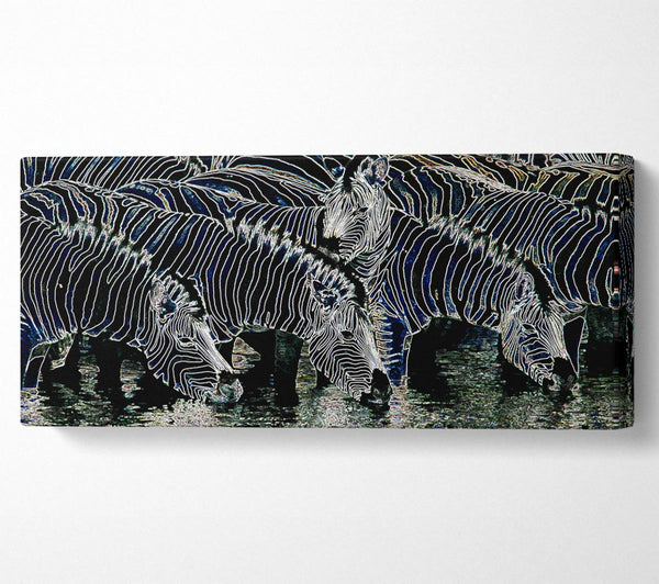 Zebra an der Wasserstelle