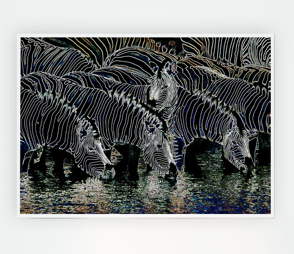 Zebra At The Watering Hole Print Poster Wall Art