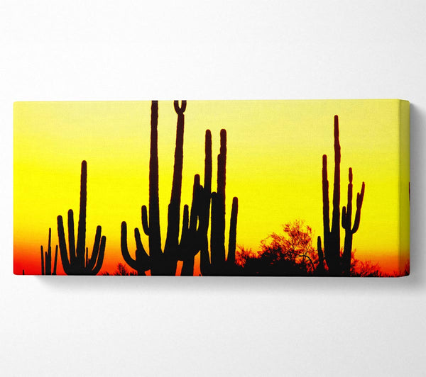 Desert Cactus Sunrise