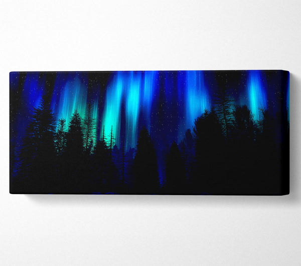 Blaue Nordlichter durch den Wald