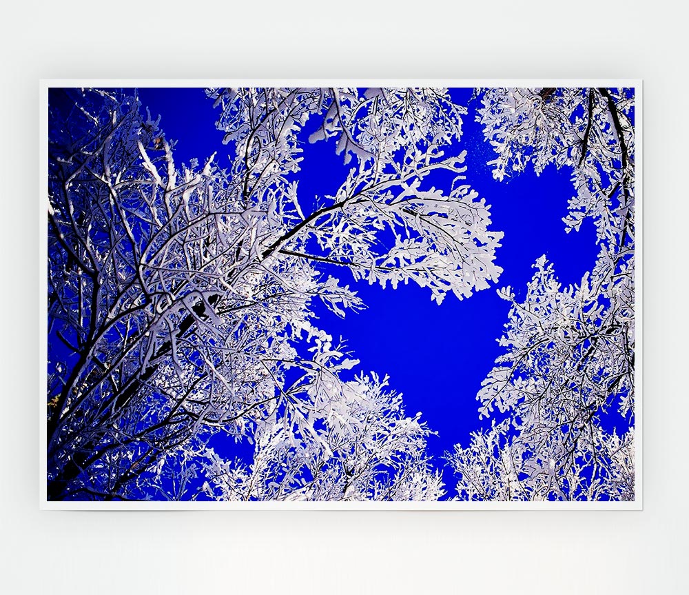 Winter Ice Tree In Sunlight Print Poster Wall Art