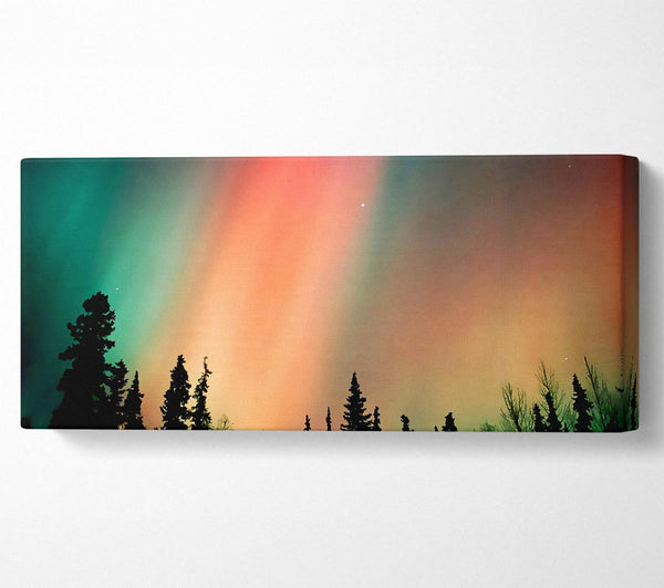 Northern Light Nights