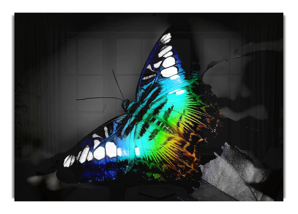 Psychodelischer Schmetterling 1