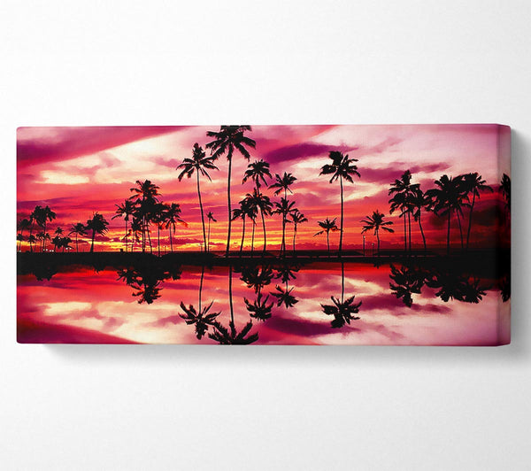 Pink Palm Tree Reflections