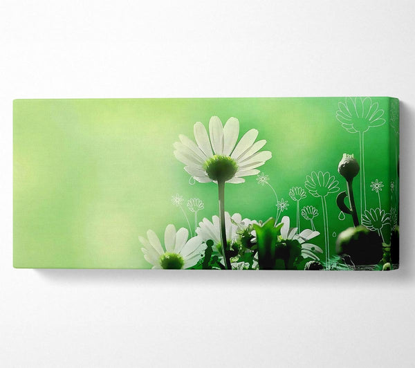 Green Daisy Garden
