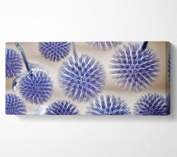 Dandelion Surprise Lilac